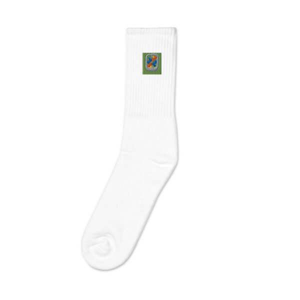 embroidered socks