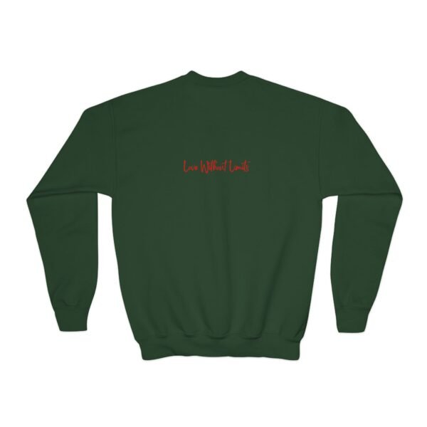 youth crewneck sweatshirt