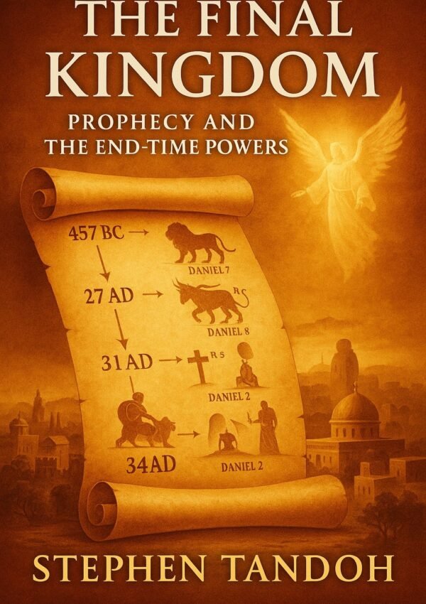 The Hidden Conflict-The Final Kingdoms(book 3) the hidden conflict the final kingdoms(book 3)